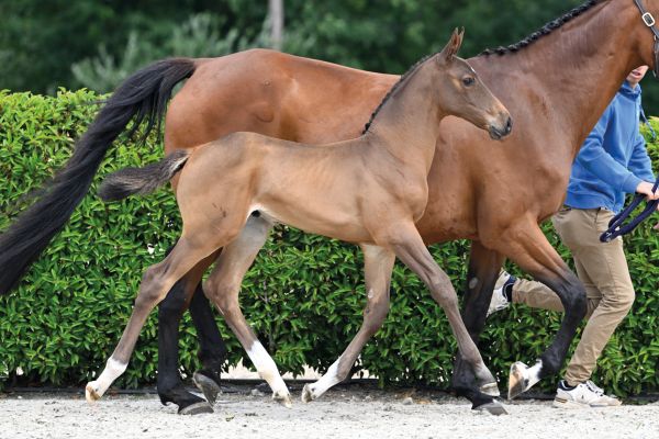 45 Countdown JT Z 45 Countdown JT Z