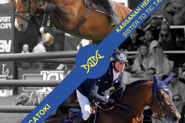 Embryo Catoki Z x Kassanah Hero Z Embryo Catoki Z x Kassanah Hero Z