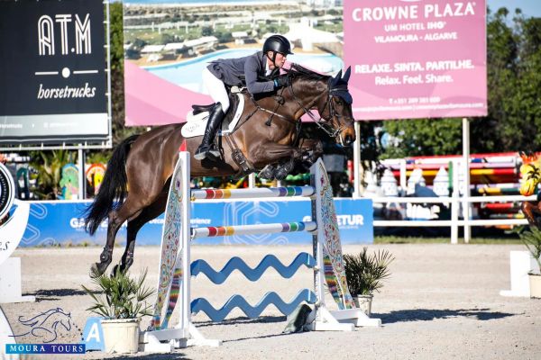 Hello William Hello William