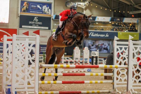 In Love vd Moerhoeve x By Cera D'Ick Approved stallion: Sparkling JW - van de Moerhoeve