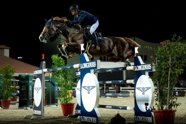 Chat Botte Chat Botte du Ruisseau Z Chat Botte Chat Botte du Ruisseau Z