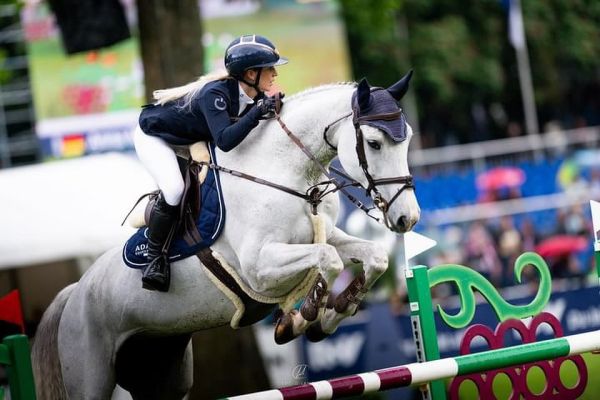 Pegasus Deau Re Mi - Anna Maria Kuhlmann - ©Anna Maria Kuhlmann Pegasus Deau Re Mi - Anna Maria Kuhlmann - ©Anna Maria Kuhlmann