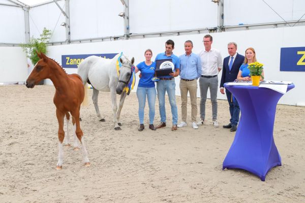 Didalou Z - Darry Lou x Emerald van 't Ruytershof Didalou Z - Darry Lou x Emerald van 't Ruytershof