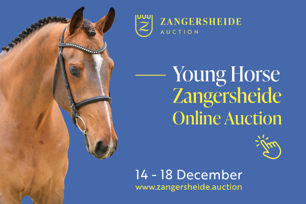 banner website auction december banner website auction december