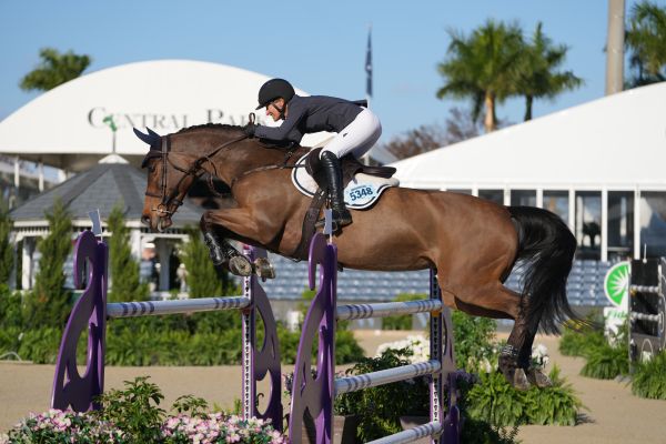 Berdien Z - Molly Ashe Cawley - ©Sportfot Berdien Z - Molly Ashe Cawley - ©Sportfot