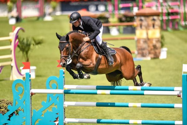 Davinci Z - Bart Lips - ©Bart Lips Davinci Z - Bart Lips - ©Bart Lips