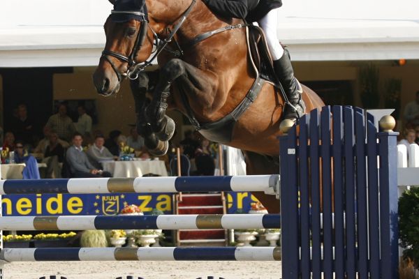 Chacco Blue Chacco Blue