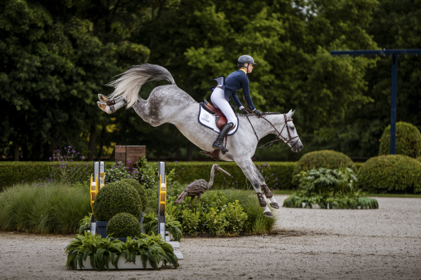 Cool Coke Z Cool Coke Z