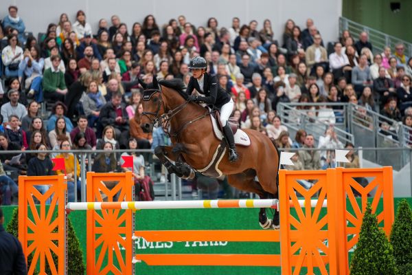 Winnetou de la Hamente Z - Jennifer Hochstaedter - ©Sportfot