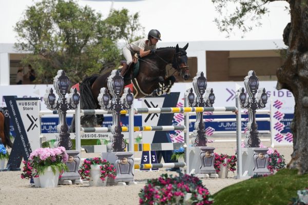 Daido van &rsquo;t Ruytershof Z 