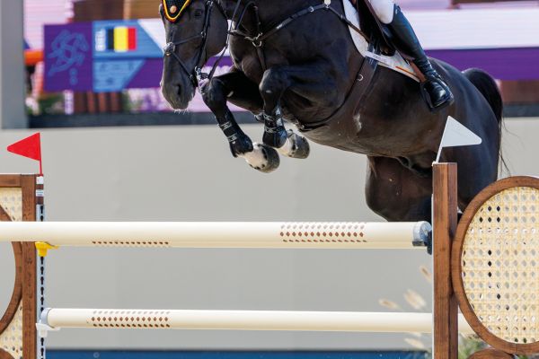 Impress-K van &rsquo;t Kattenheye Z & Thibeau Spits