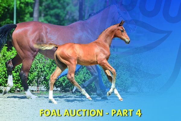 veiling-78_foto veiling-78_foto