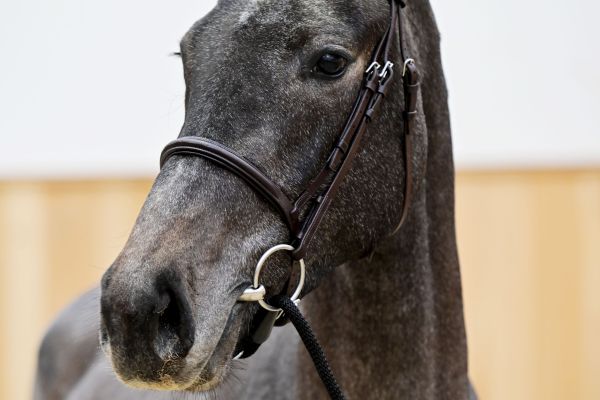 PRADA GPH 3 PRADA GPH 3