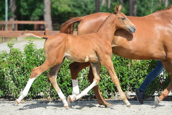 20200726-ga79105-1 20200726-ga79105-1