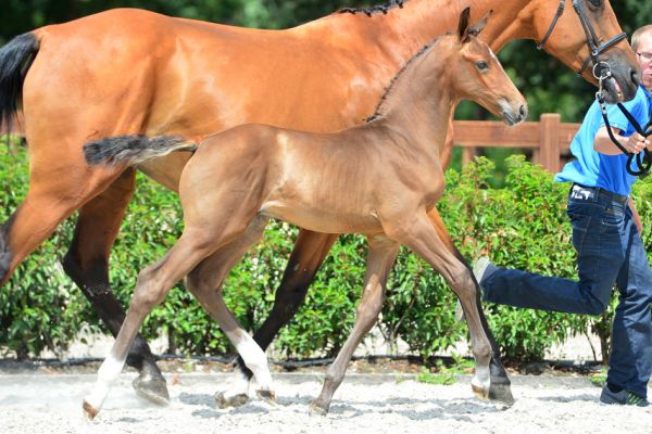 20200726-ga70007-1 20200726-ga70007-1