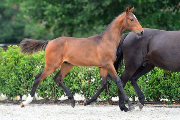 20200725-ga75591-1 20200725-ga75591-1