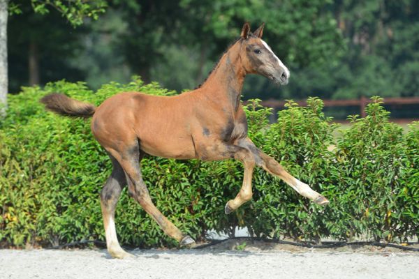 20200719-ga72264-1 20200719-ga72264-1