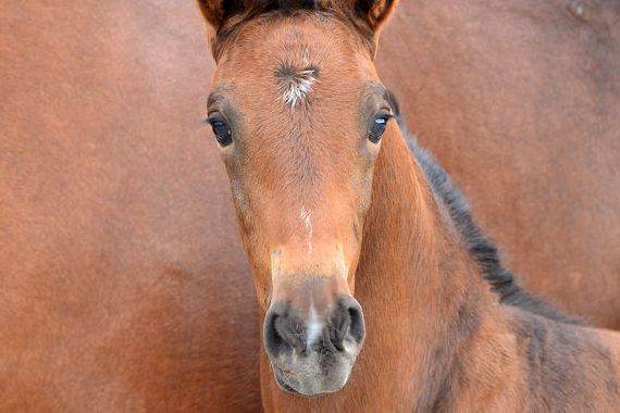 20200725-ga75510-1 20200725-ga75510-1