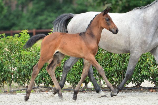 20200725-ga76222-1 20200725-ga76222-1