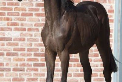 20170615-b-27879 20170615-b-27879