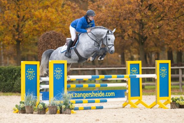 Commil Champ Z  Commil Champ Z