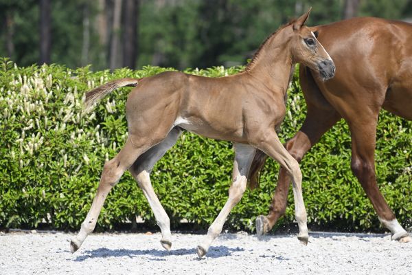 As Right as Rain Z 3 As Right as Rain Z 3