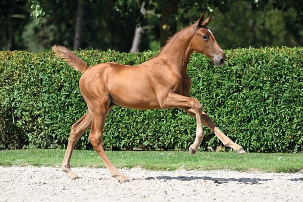 61 Country Roads O GMS Z 61 Country Roads O GMS Z