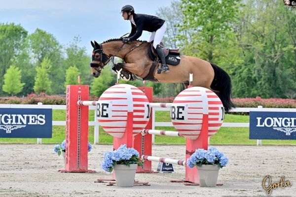 Quirados Z Quirados Z