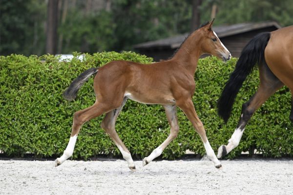 Touch Of Magic Z.. Touch Of Magic Z..