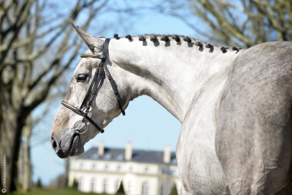 In Love JW van de Moerhoeve In Love JW van de Moerhoeve