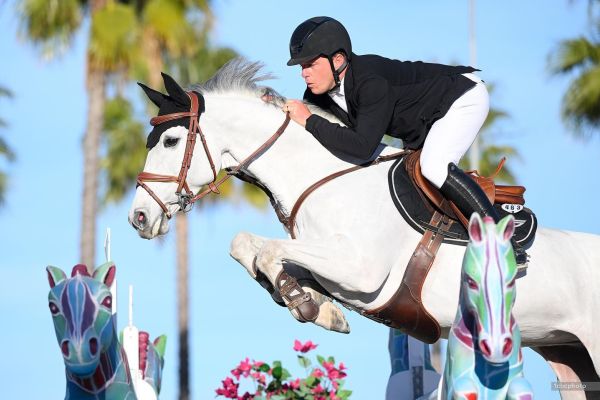 Beau Van De Hagenhorst Z Beau Van De Hagenhorst Z