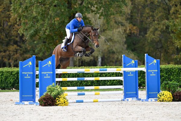 Quickstep Z   Quickstep Z