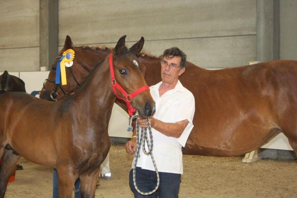 nieuws-img5379 nieuws-img5379