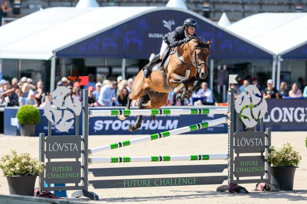 Elcup van Beek II Z - Sacha Beghuin - ©LGCT Stockholm Elcup van Beek II Z - Sacha Beghuin - ©LGCT Stockholm