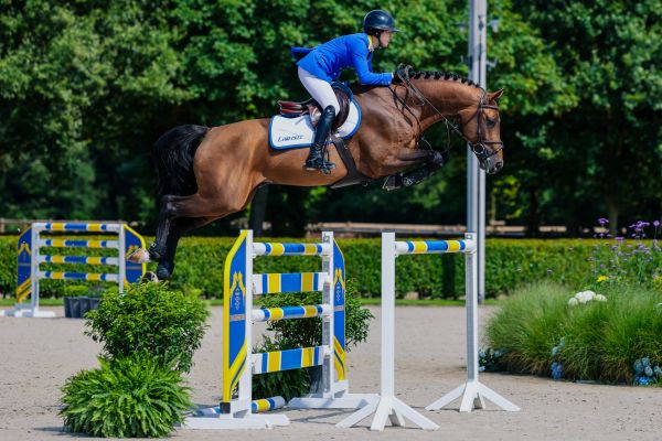 Dolomite Z Dolomite Z