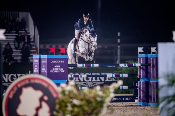 Corbie V.V. Z - Daniel Bluman - ©FEI Corbie V.V. Z - Daniel Bluman - ©FEI
