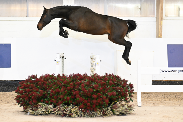 Call Me Number One x Zazou Z Comino A Z