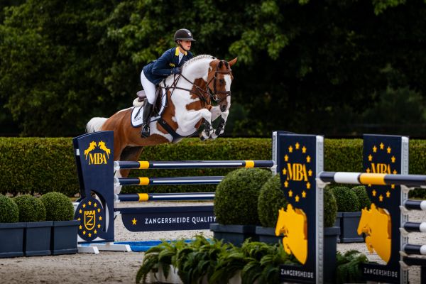 Amy du Cheateau Z Amy du Cheateau Z