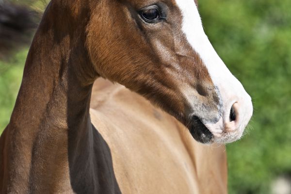 Uzuri 1991 Z Uzuri 1991 Z