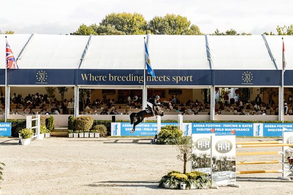 ZangersheideFEIWBFSH2025(252) (Large)