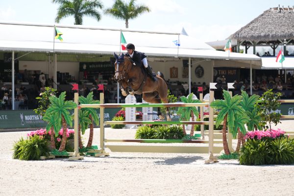 Beau de Laubry Z - Julien Anquetin - &copy;Sportfot