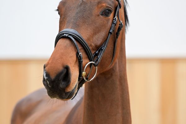 ASATIR VAN PERZI Z 3 ASATIR VAN PERZI Z 3