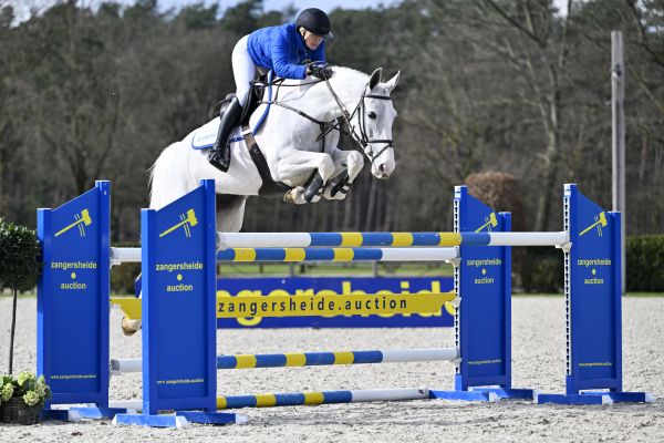 L'ALBERTINE SITTE 3 L'ALBERTINE SITTE 3