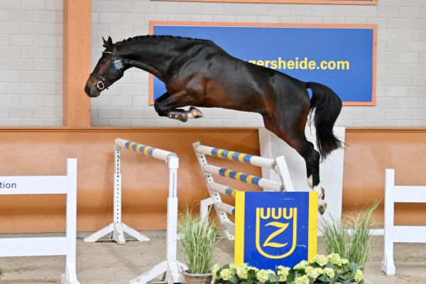 gregory-lou-z gregory-lou-z