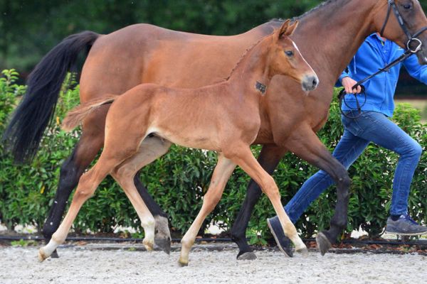 20200725-ga75717-1 20200725-ga75717-1