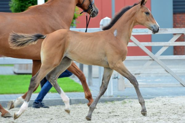 20200705-ga79213-3-large 20200705-ga79213-3-large