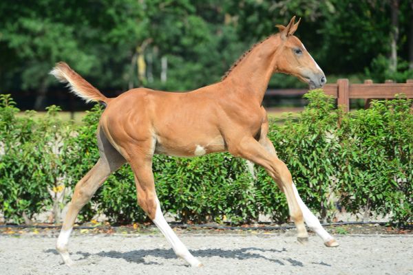 20200726-ga79121-1 20200726-ga79121-1