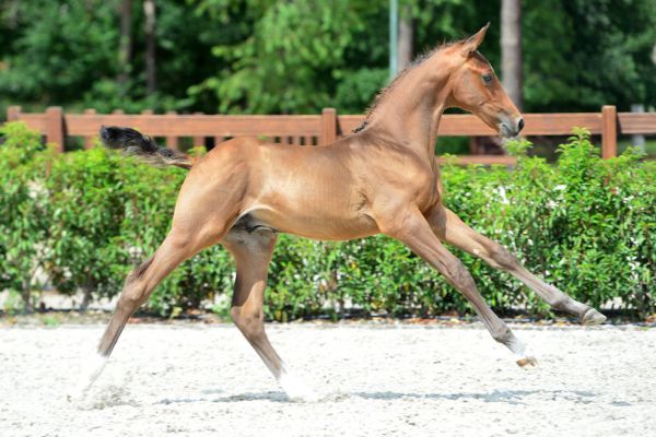 20200726-ga70033-1 20200726-ga70033-1