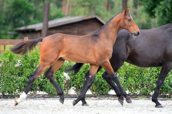 20200725-ga75604-1 20200725-ga75604-1