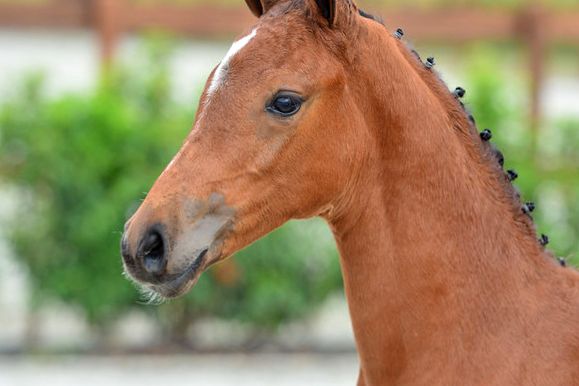 20200725-ga76174-1 20200725-ga76174-1